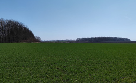 З 1 липня в Україні запрацював ринок землі