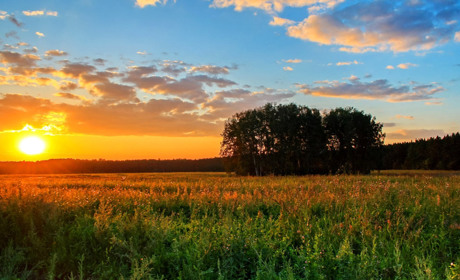 Якою буде погода на Кагарличчині та Ржищівщині 3 і 4 липня