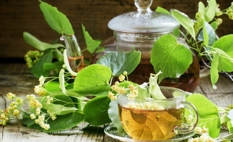 А липи цвітуть... Чому варто зібрати цвіт липи для чаю та інших напоїв