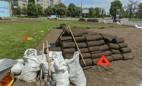 OverТиждень 2.3. Рулонний газон на клумбах Нікополя - розкіш чи необхідність?