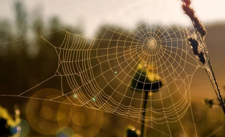 Прогноз погоди на тиждень: Гадяччиною пройдуть короткочасні грози