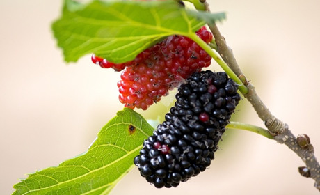 Погода на 5-11 липня: синоптичні градуси без особливих змін