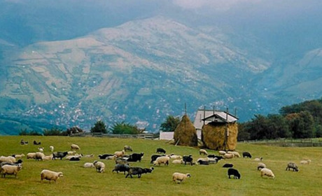 Рахівщина в об’єктивах туристів у червні 2021