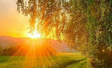 На Луганщині розпочався пожежонебезпечний період