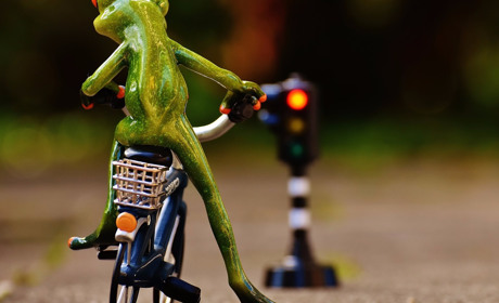 Полиция напоминает правила остановки и стоянки