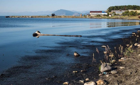 Убило током сотрудника водных аттракционов