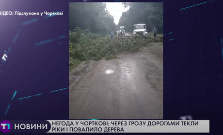У Чорткові та районі вчорашня короткочасна негода наробила лиха (+ відео)