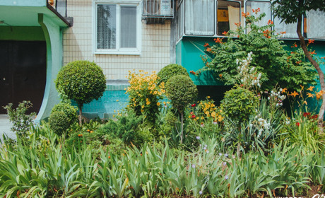 Фотопідбірка квітучих дворів багатоквартирних будинків Нікополя. Вулиця Усова