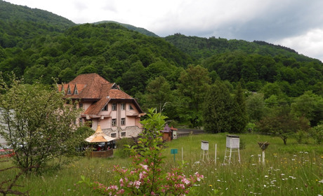 У Карпатському біосферному заповіднику новий директор