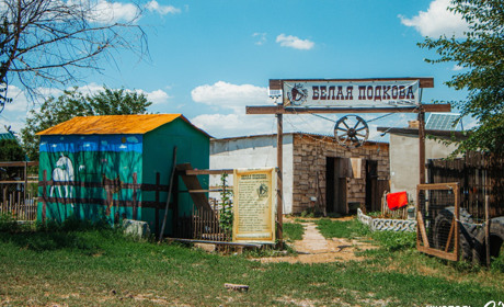 Господарі ранчо «Біла Підкова» в Нікополі: про роботу на ранчо, історії життя та характери коней