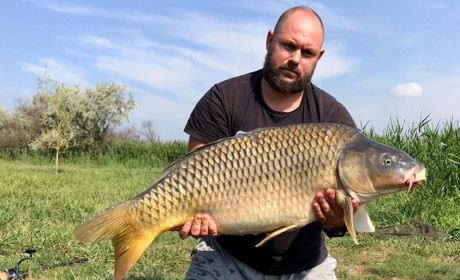 До дня рибалки: Руслан Александров про ловлю коропа