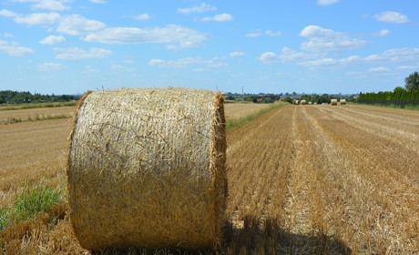 Вихідні у серпні: відпочиватимемо більше