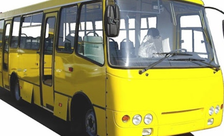 До Грибенинки запустили рейсовий автобус. Є графік