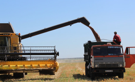 На троїцьких ланах розпочалися жнива