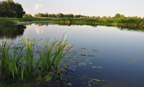 На ставках та річках продовжують гинути люди: вода забрала п'ятьох жителів Хмельниччини. Троє - діти