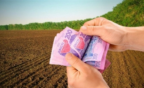 Як підготуватися до продажу паю: інструкція для землевласників