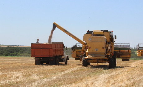 Хлібороби агроформування “Лан” жнивують третій день