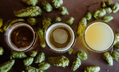 Пивные бокалы - для истинного наслаждения напитком