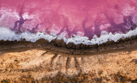 Азово-Сиваський національний природний парк: царство полинових степів та червоних солончаків