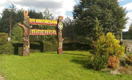 Клесівське лісництво на Сарненщині оштрафували за численні порушення