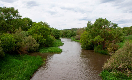 На Чортківщині - друга за тиждень смерть у воді