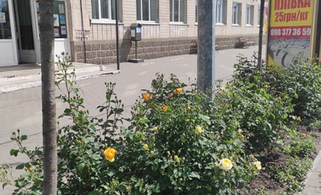 У Старокостянтинові відкривають Центр масової вакцинації людей проти COVID-19: де і коли