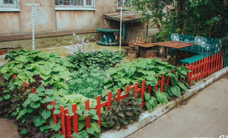 Фотопідбірка квітучих дворів багатоквартирних будинків Нікополя. Вулиця Світла