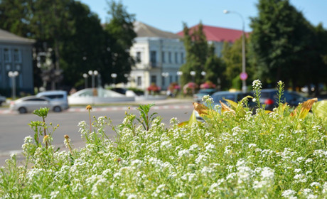 Щоденний дайджест від Золотоноша.City: зустрічаємо новий день – 23 липня 2021 року