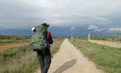 Фільми та книги про Шлях святого Якова