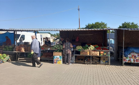 Почому овочі на базарі у Волновасі: готуємось до сезону консервації