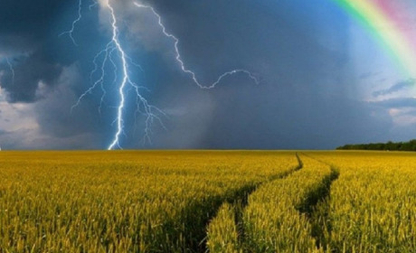 Погода в Кагарлику та Ржищеві на тиждень - з 26 липня по 1 серпня