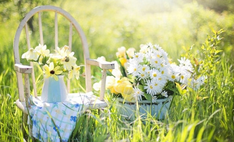 Спека на Гадяччині затримається. Прогноз погоди на останній тиждень липня