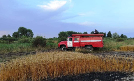 У Вертіївській ОТГ ліквідовано пожежу пшеничного поля