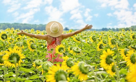 Погода на 26 липня - 1 серпня: спека повертається