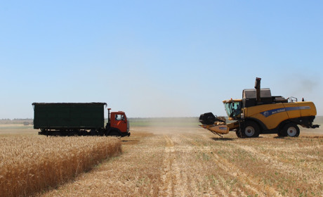 Навіщо аграріям страхувати урожай