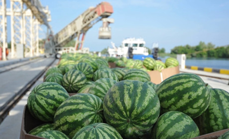 Мінекономіки хоче, щоб херсонський кавун і ще 7 продуктів стали локальним брендом у ЄС