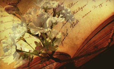 Чтиво на вечір: Колін Мак-Калоу "Тім"