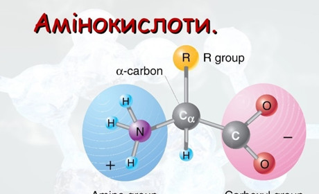Амінокислоти: для чого приймати і як замовити?