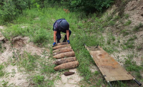 Взрывоопасные предметы обезвредили в Мелитопольском районе