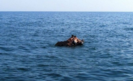 Унесло в море почти на два километра