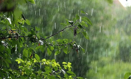 Погода в Кагарлику та Ржищеві на тиждень - з 2 по 8 серпня