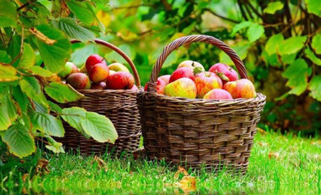 Погода на Гадяччині: тиждень розпочнеться із спекою та грозами