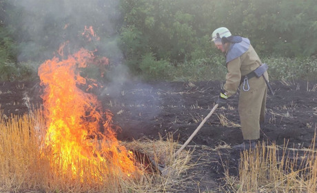За тиждень на території Троїцької громади загасили 2 пожежі