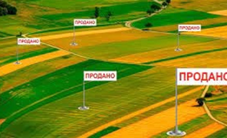 30 днів старту ринку землі: скільки гектарів уже продали