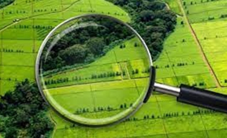 Держгеокадастр відкрив дані про межі територіальних громад