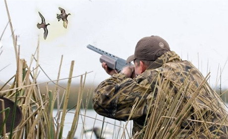 У серпні на Гадяччині розпочинається сезон полювання на пернатих