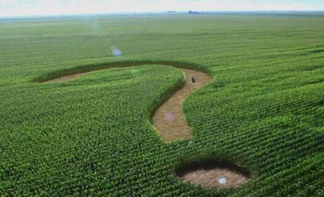 На Корюківщині найдорожчий земельний пай на олександрівських черноземах