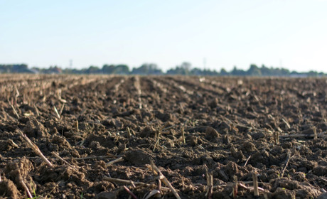 Родючість ґрунтів: на порозі катастрофи