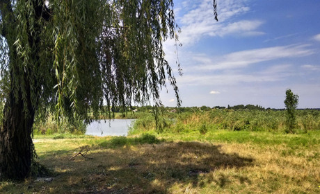 Як виглядає зараз Кінський пляж: фотофакт