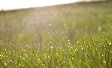 Якою буде погода на Кагарличчині та Ржищівщині на вихідні 7 та 8 серпня